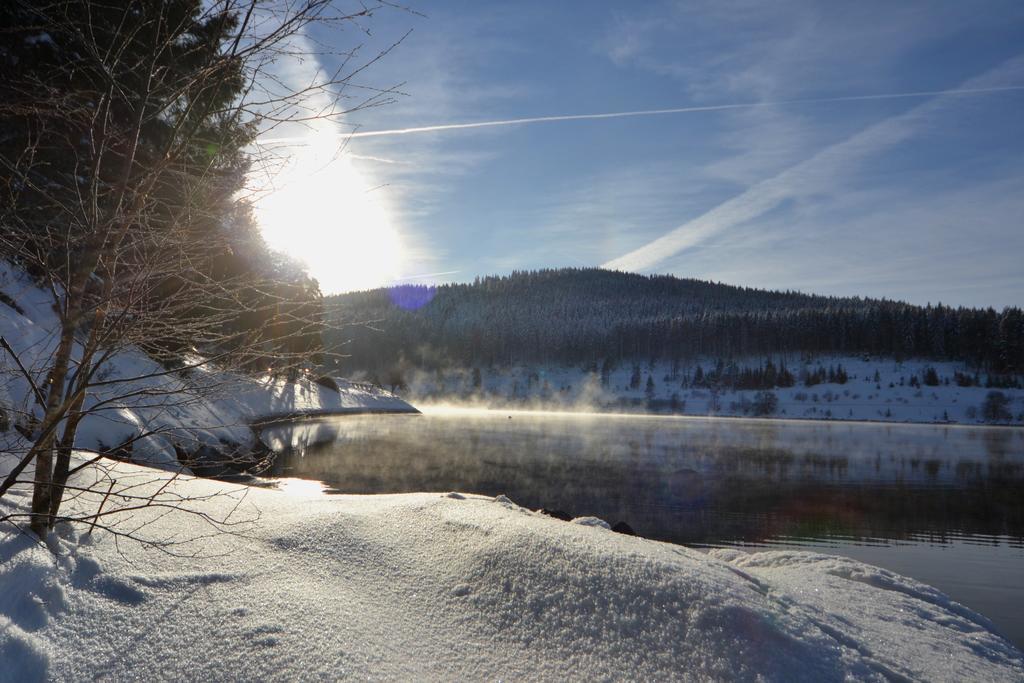 Seehotel Hubertus Schluchsee Luaran gambar