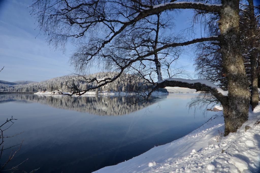 Seehotel Hubertus Schluchsee Luaran gambar