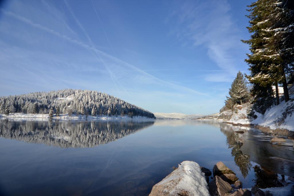 Seehotel Hubertus Schluchsee Luaran gambar